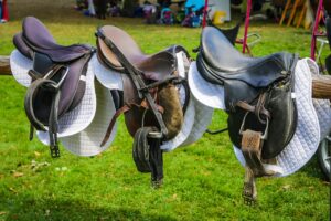 Dressage Saddle B