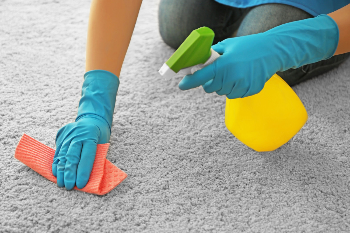 How Long Should a Carpet Smell After Cleaning