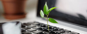 Sustainability in the Workplace Why It Matters and How to Achieve It