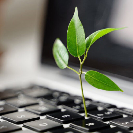 Sustainability in the Workplace Why It Matters and How to Achieve It