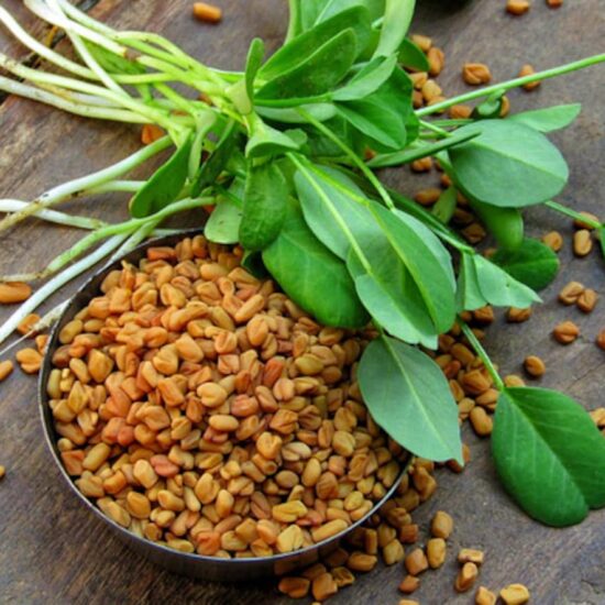 Foenegriek Uses, Benefits, and Facts Explained