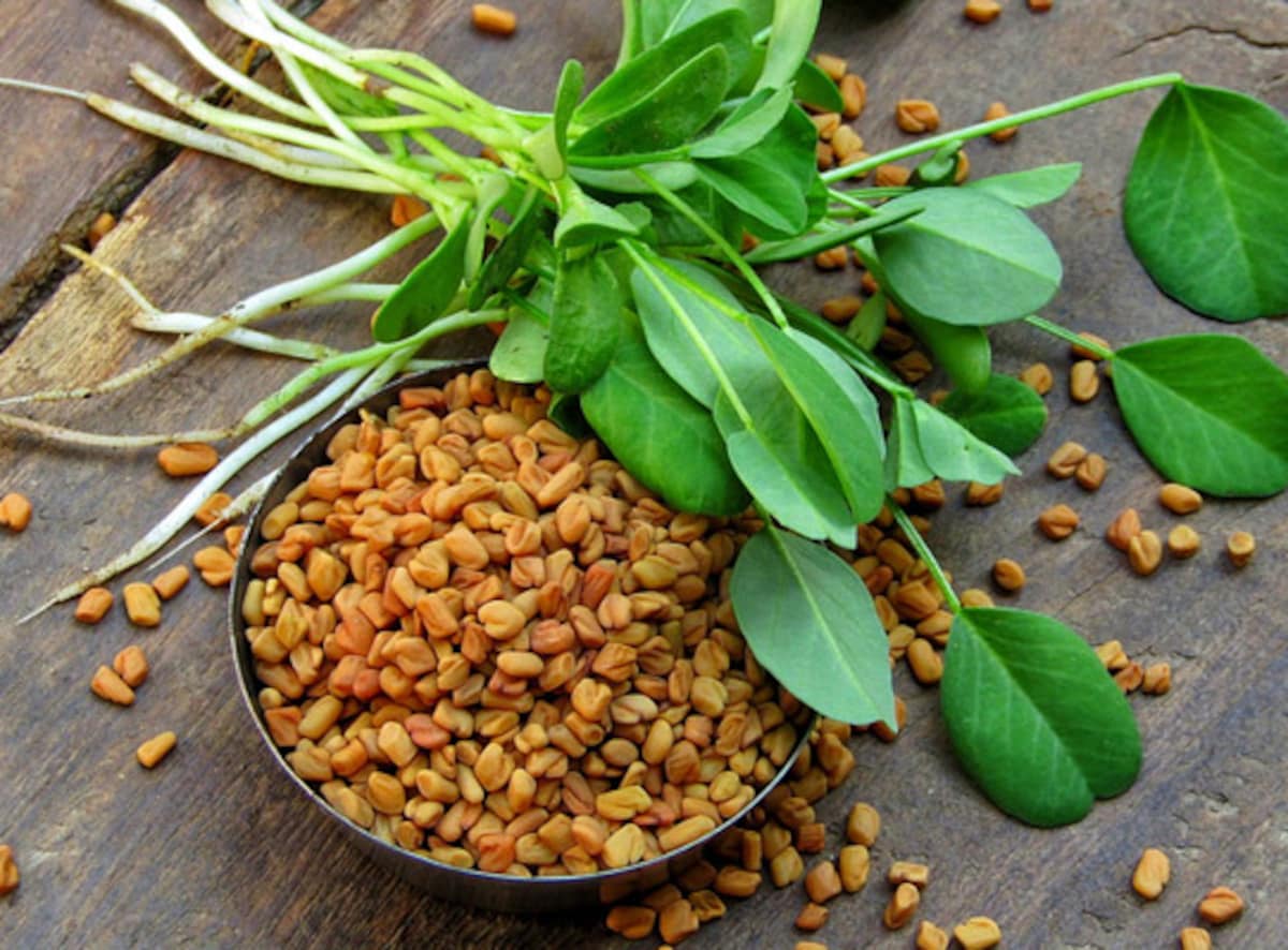 Foenegriek Uses, Benefits, and Facts Explained