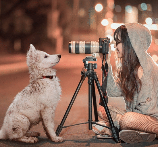 8 Best Travel Tripod 2026 (Detailed Buying Guide)