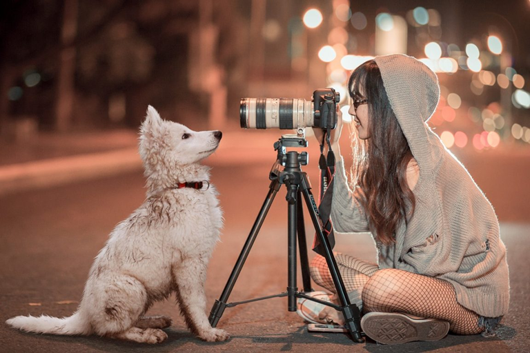 8 Best Travel Tripod 2026 (Detailed Buying Guide)