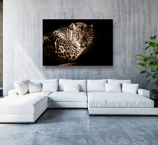 How to Print Leopard on Custom Acrylic Prints