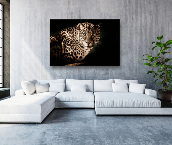 How to Print Leopard on Custom Acrylic Prints